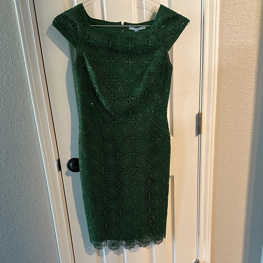 Antonio Melani Green Lace Women Dress size 4 - Picture 2 of 3